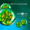 cd_cover_Zell_aktievierung Teil 2